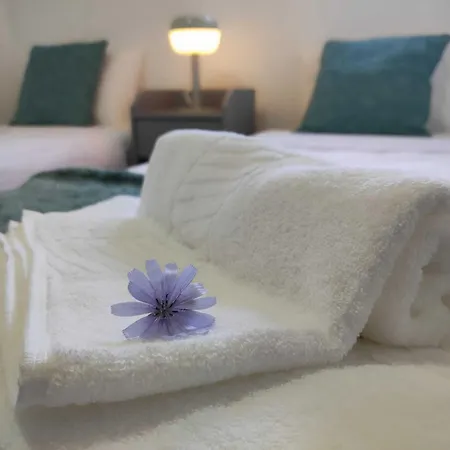 Cantinho Da Charneca * Madalena (Tomar)