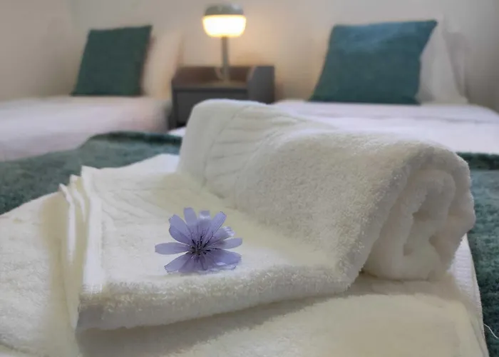 Cantinho Da Charneca * Madalena (Tomar)